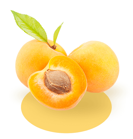 Biofruits - Abricots - Abricot frais