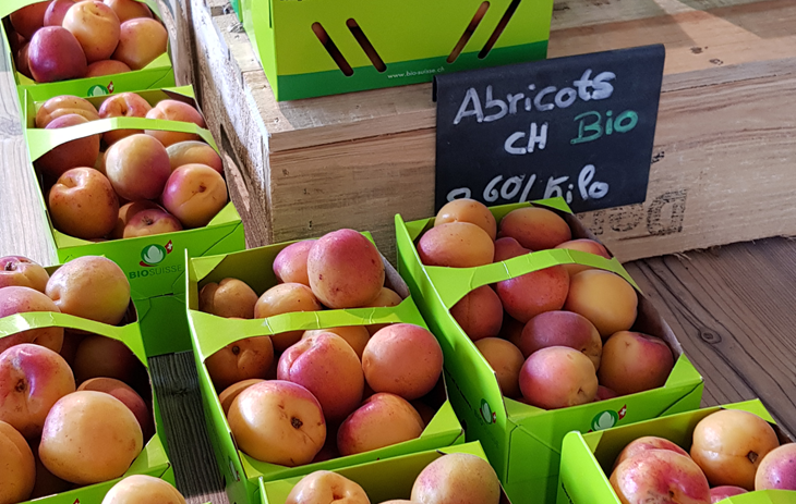 Les abricots au shop - Une photo des barquettes d'abricots Biofruits dans un magasin