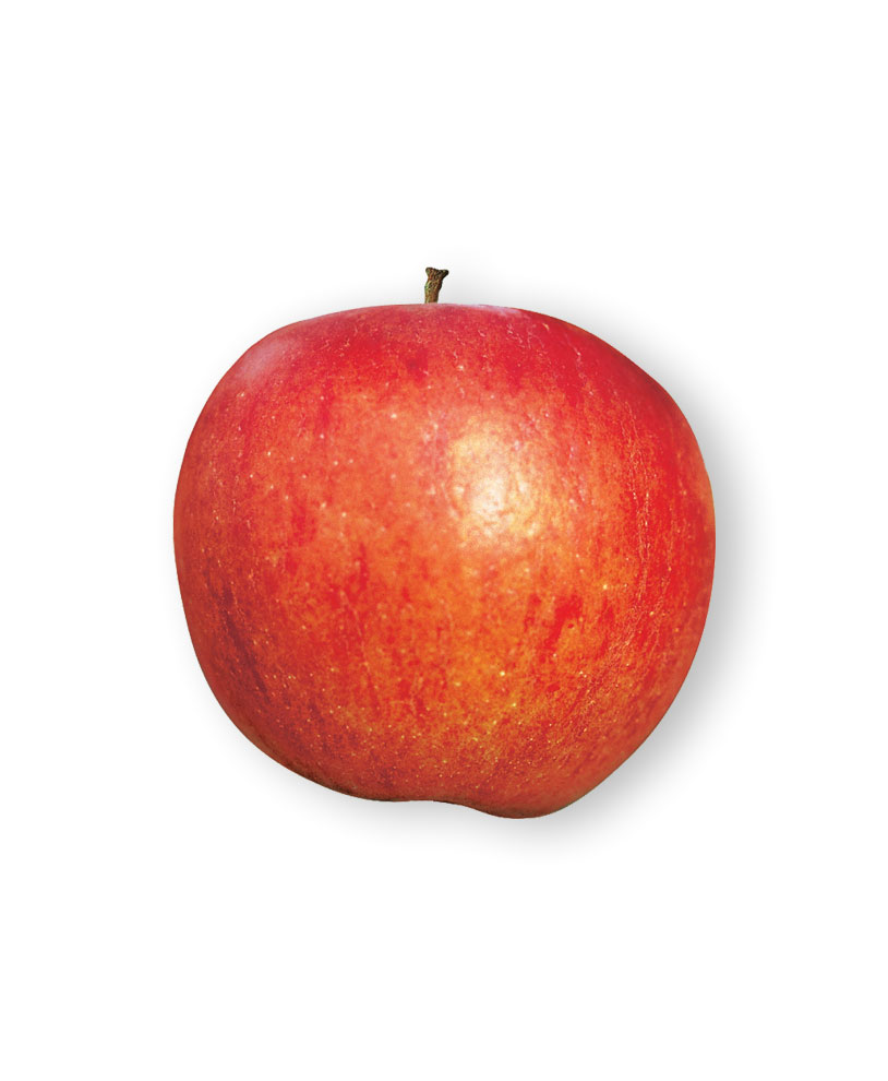 Pommes Shop Biofruits Sa