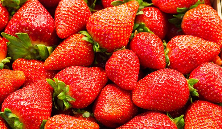 Fraises BIO du Valais