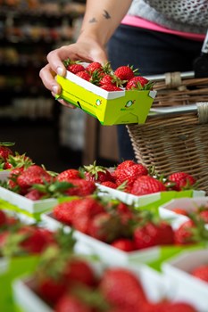 Fraises au Shop de Sion - Une photo de barquette de fraises Biofruits fraîches, BIO et locales