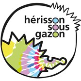 Hérisson sous gazon