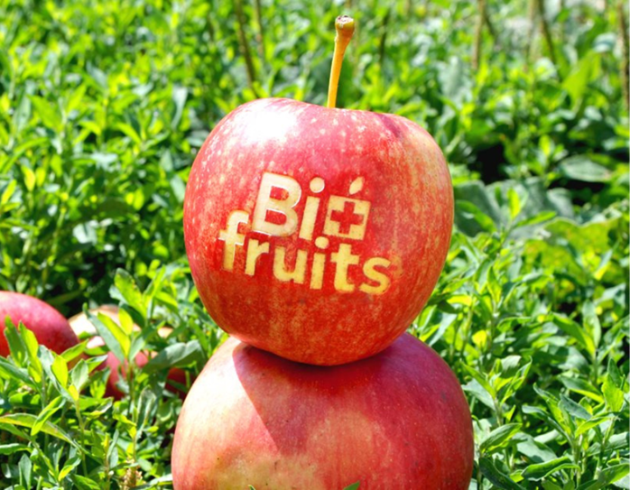 Pommes Gravées Biofruits
