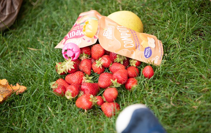 Fraises et compotes dans l'herbe - Une photo d'un tas de fraises et de compotes Biofruits dans l'herbe