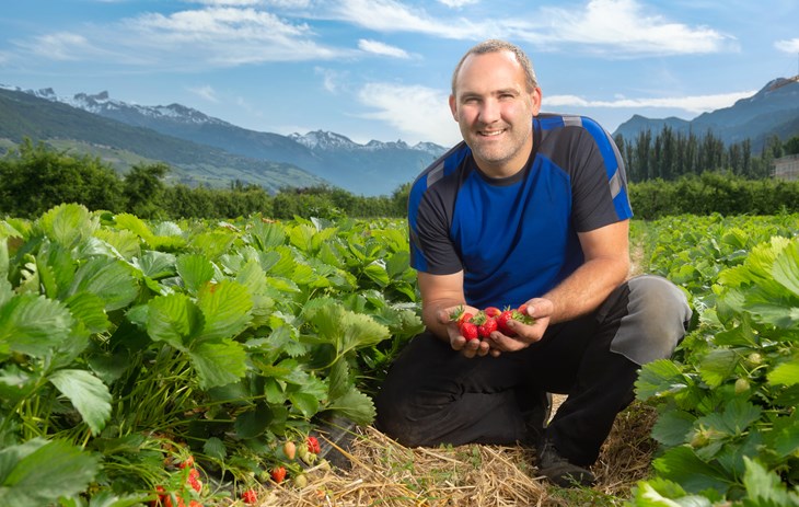 Producteur et fraises - Une image d'Olivier Cordey producteur chez Biofruits tenant des fraises dans ses mains