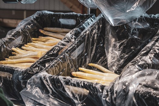 Caisse d'asperges vertes pour de la vente en vrac